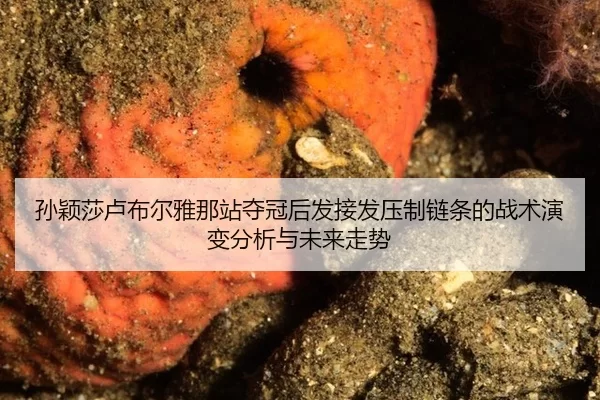 孙颖莎卢布尔雅那站夺冠后发接发压制链条的战术演变分析与未来走势
